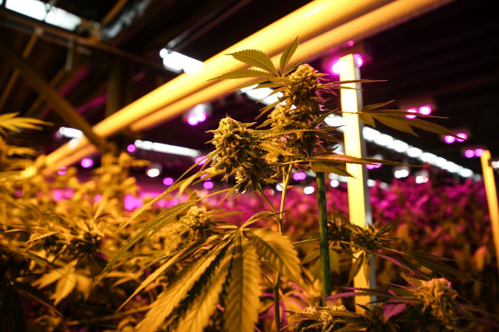 Desert Pacific Properties Quoted in Recent Desert Sun Newspaper Cannabis Cultivation Article