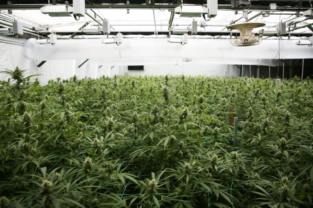 Desert Pacific Properties Quoted in Recent Desert Sun Newspaper Cannabis Cultivation Article