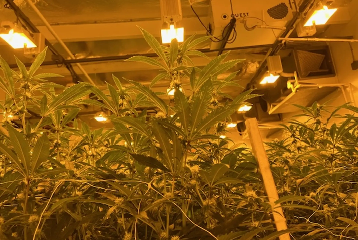 CC - 36425 Bankside Dr Kings Garden - Facility 1
