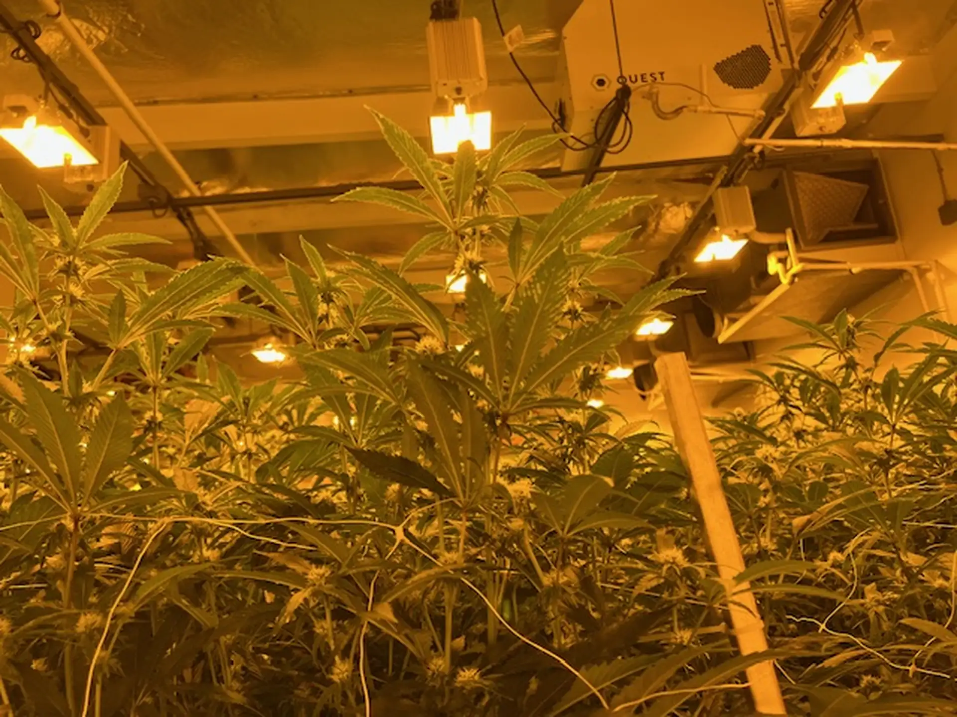 CC - 36425 Bankside Dr Kings Garden - Facility 1