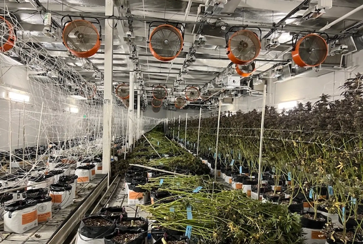 CC - 36425 Bankside Dr Kings Garden - Facility 2