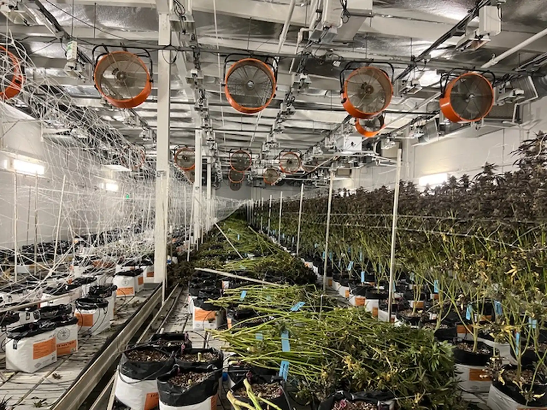 CC - 36425 Bankside Dr Kings Garden - Facility 2