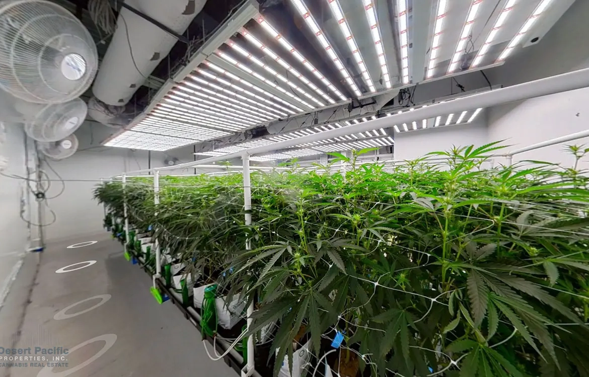 DHS + 15852 Little Morongo Rd C2 Room