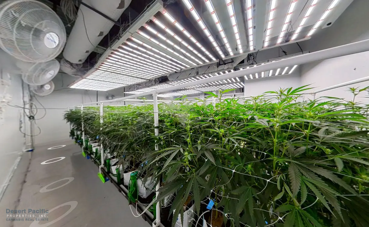 DHS + 15852 Little Morongo Rd C2 Room